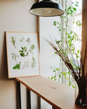 Green and clean interior. at ČAU in Riga