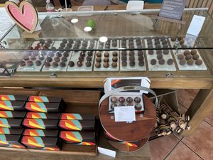 truffle selection! (2/18/24)  at Nibble Chocolate - Little Italy in San Diego