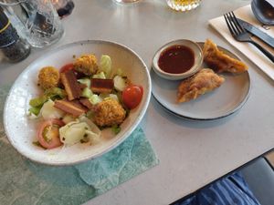 Gyoza & salad at Rozey in Amersfoort
