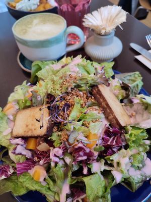 Veganer Salat mit Tofu (leider als Hauptspeise sehr wenig) at Tula Bistro in Salzburg