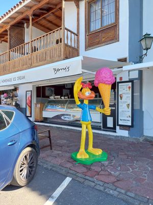  at Berry's - Marinero in Tenerife