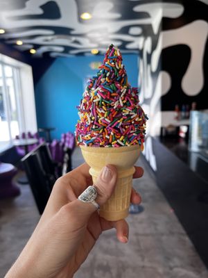 Vegan chocolate & rainbow sprinkles   at Dang Soft Serve in Denver