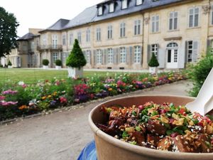 Bowl to go at Naupaka in Bayreuth