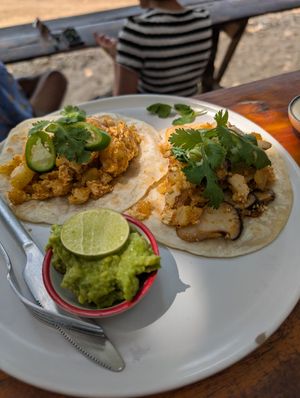 Veganized spicy breakfast tacos with scrambled tofu and mushrooms at Tuesday Morning in Koh Lanta