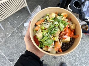   at Green & Gloria in Dresden