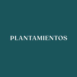  #Veganuary at Plantamientos in Madrid