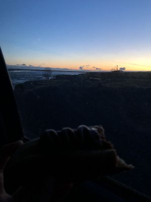 hotdog with a view  at Pylsuvagninn in Selfoss