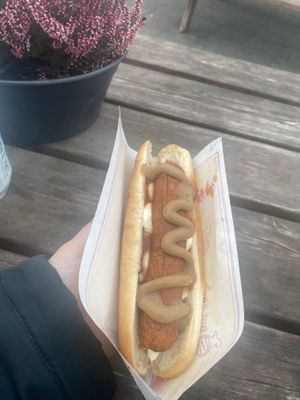 vegan dog with toppings underneath  at Pylsuvagninn in Selfoss