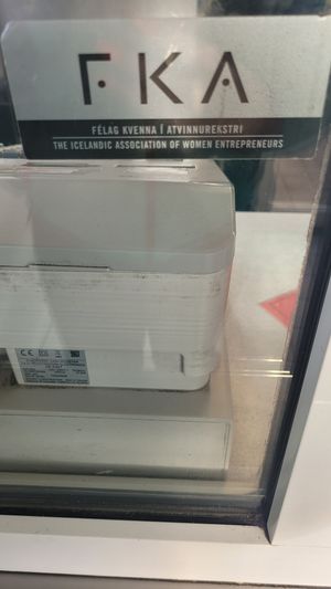  at Pylsuvagninn in Selfoss