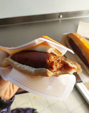  at Pylsuvagninn in Selfoss