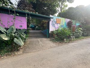 Front entrance  at Tulsi Cafe y Plantas in Ciudad Colon