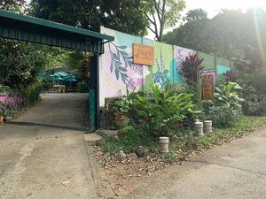 Front entrance  at Tulsi Cafe y Plantas in Ciudad Colon