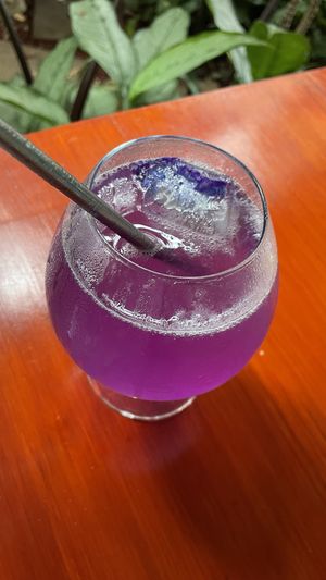   at Tulsi Cafe y Plantas in Ciudad Colon