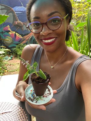Chocolate flower pot filled with non-dairy cream and berries. at Tulsi Cafe y Plantas in Ciudad Colon