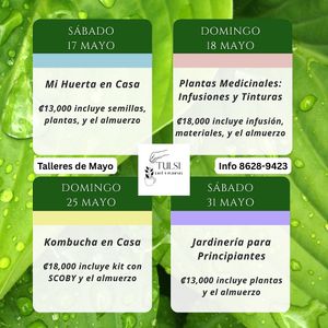 Now offering workshops with all materials and lunch included. Send message to WhatsApp 506-8628-9423 if in Costa Rica and would like to attend or schedule a workshop.  at Tulsi Cafe y Plantas in Ciudad Colon
