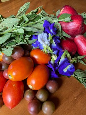 Produce from our garden that goes into your lunch or beverage! Juanilama medicinal herb for digestive infusion, tomatoes, butterfly pea flowers, manzana de agua (water apple). at Tulsi Cafe y Plantas in Ciudad Colon