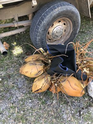 Love coconuts!  at Garapan Public Market in Saipan