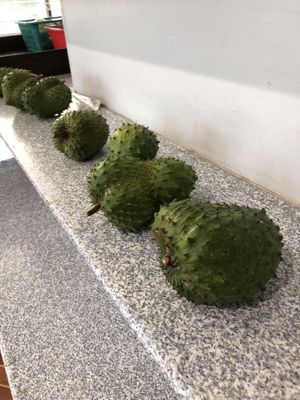 Soursops!!  at Garapan Public Market in Saipan