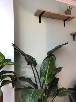 Cozy  at Hempies - Händelstraße in Cologne