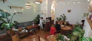  at Hempies - Händelstraße in Cologne