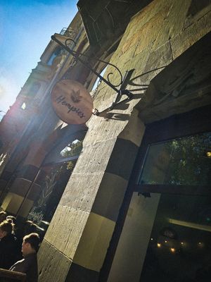  at Hempies - Händelstraße in Cologne