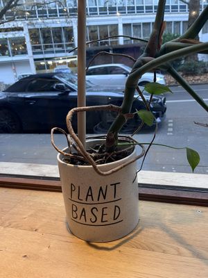   at Hempies - Händelstraße in Cologne