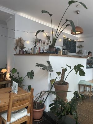   at Hempies - Händelstraße in Cologne