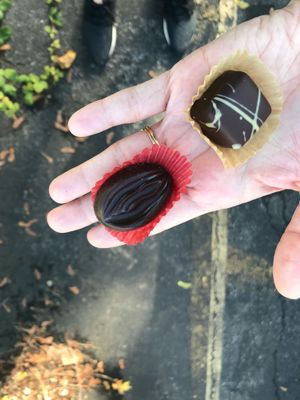 Vulva chocolate at Lagusta's Luscious in New Paltz