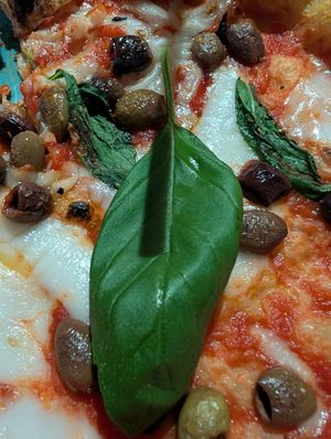  at Assaje in Trieste