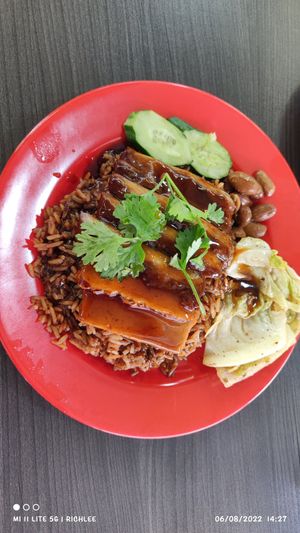 Duck Rice at Makan Vegan - 斋这里 in Central Singapore