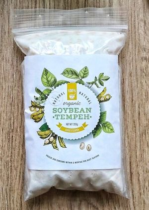 Soybean tempeh at Angie's Tempeh in North Singapore