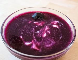 Vegan chilled blueberry soup at The Café in Little Falls