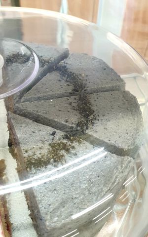 black sesame at Lofi in Bucheon