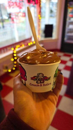 Vegan chocolate pudding at Emack & Bolio's in Albany