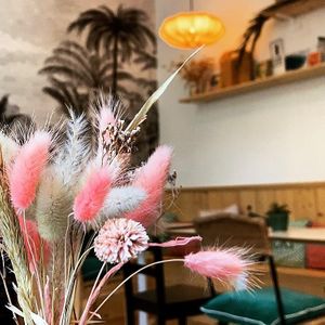   at Kabana in Bordeaux