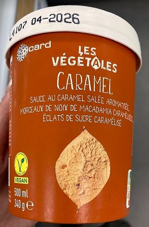 Vegan caramel ice cream at Picard in Paris