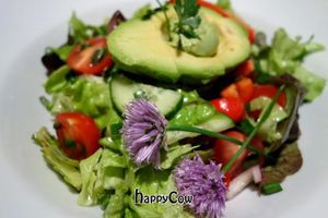 Raw Garden at The Beginnings - Skolas in Riga