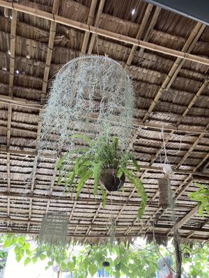 Lanterns from coconuts and upcycled fans  at Pait Tine Taung in Koh Phangan