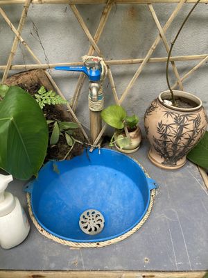   at Pait Tine Taung in Koh Phangan