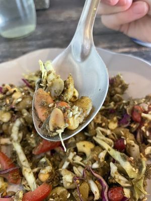 Close-up - nuts   at Pait Tine Taung in Koh Phangan