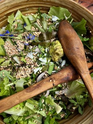  at Casale Hortensiae in Orte