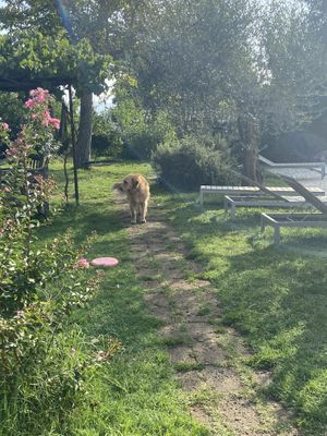   at Casale Hortensiae in Orte