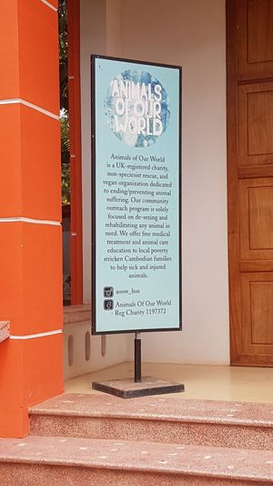 Respect ! at HeyBong - The Healthy Secrets  in Siem Reap