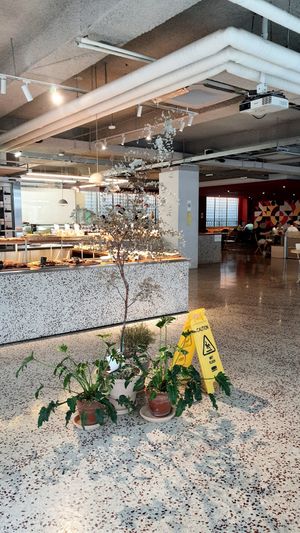 interior of location - view towards the counter at Flour Artisan Bakery in Seoul