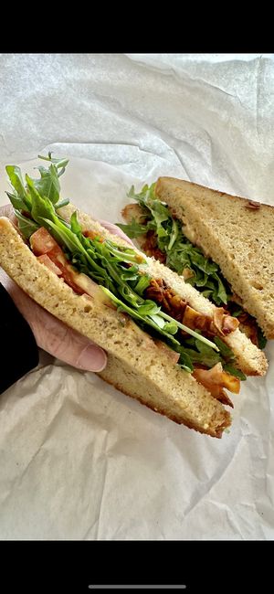 BLT on Multigrain   at Tandem Bakery & Cafe in Missoula