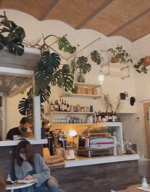 Very cozy Atmosphere.  at Bio Cafe Blütezeit in Vienna