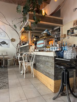   at Bio Cafe Blütezeit in Vienna