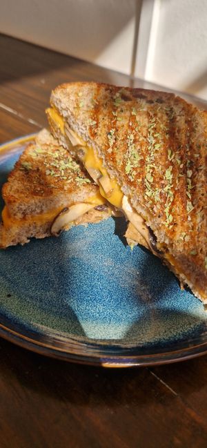  at El Obrador in Puerto Natales