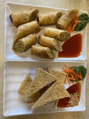 Spring rolls & tofu appetizer  at Thai Orchid in Stroudsburg