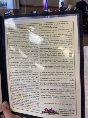 Partial menu pt1  at Thai Orchid in Stroudsburg